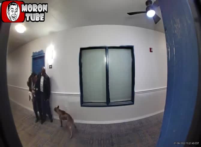 Video :He hides behind his wife after being attacked by a player